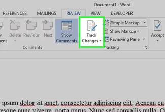 Screenshot of the Microsoft Word program with a green box highlighting "Track Changes"